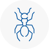 Ant Removals In Kinross