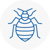 Bed Bug Extermination In Kinross