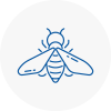 Bee Nest Removal Kinross