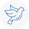 Bird Prevention Kinross
