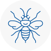 Kinross Hornet Nest Removals