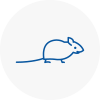 Mice Exterminators In Kinross