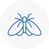 Moth Control Specialists In Kinross