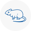 Rat Control Kinross