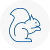 Kinross Rodent Removals