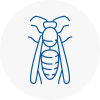 Kinross Wasp Nest Removal